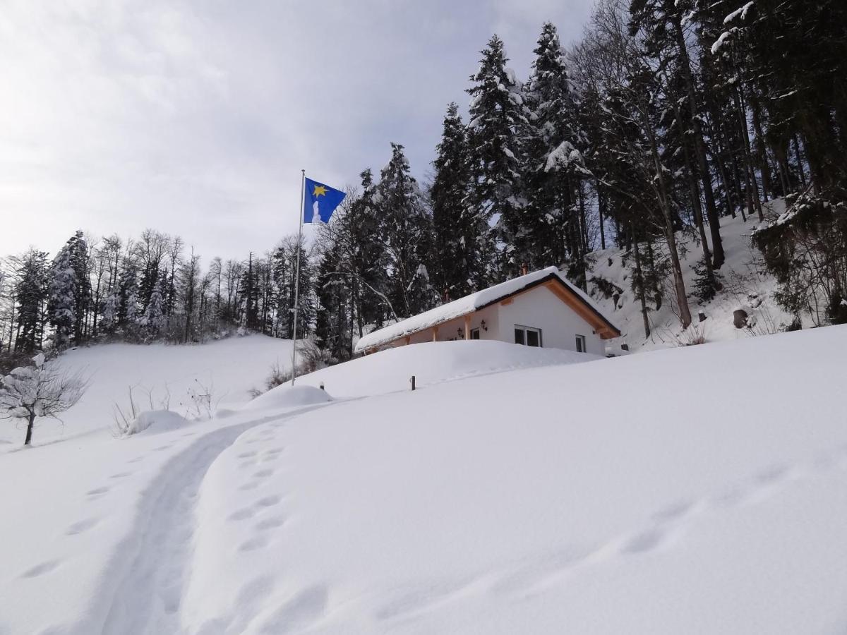 Sternenberg Haus Am Sternsbergヴィラ エクステリア 写真