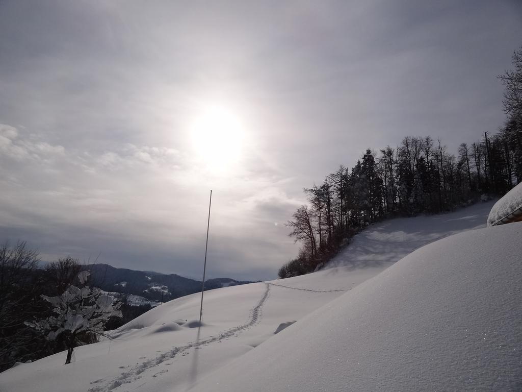 Sternenberg Haus Am Sternsbergヴィラ エクステリア 写真